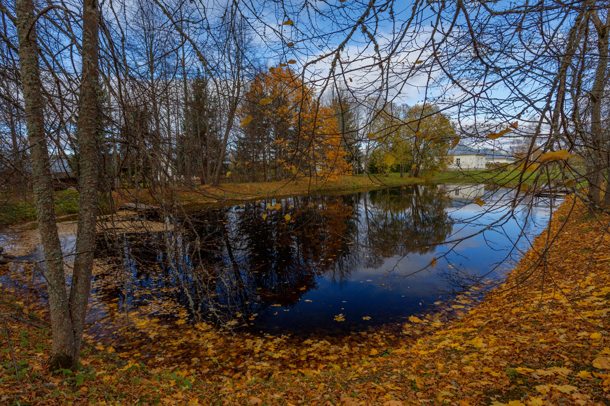 Reflexion der Herbst