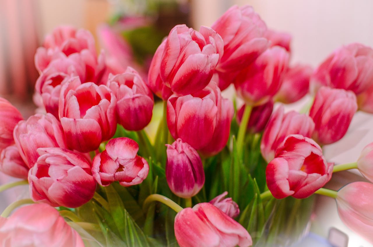 Der Hauch von Frühling