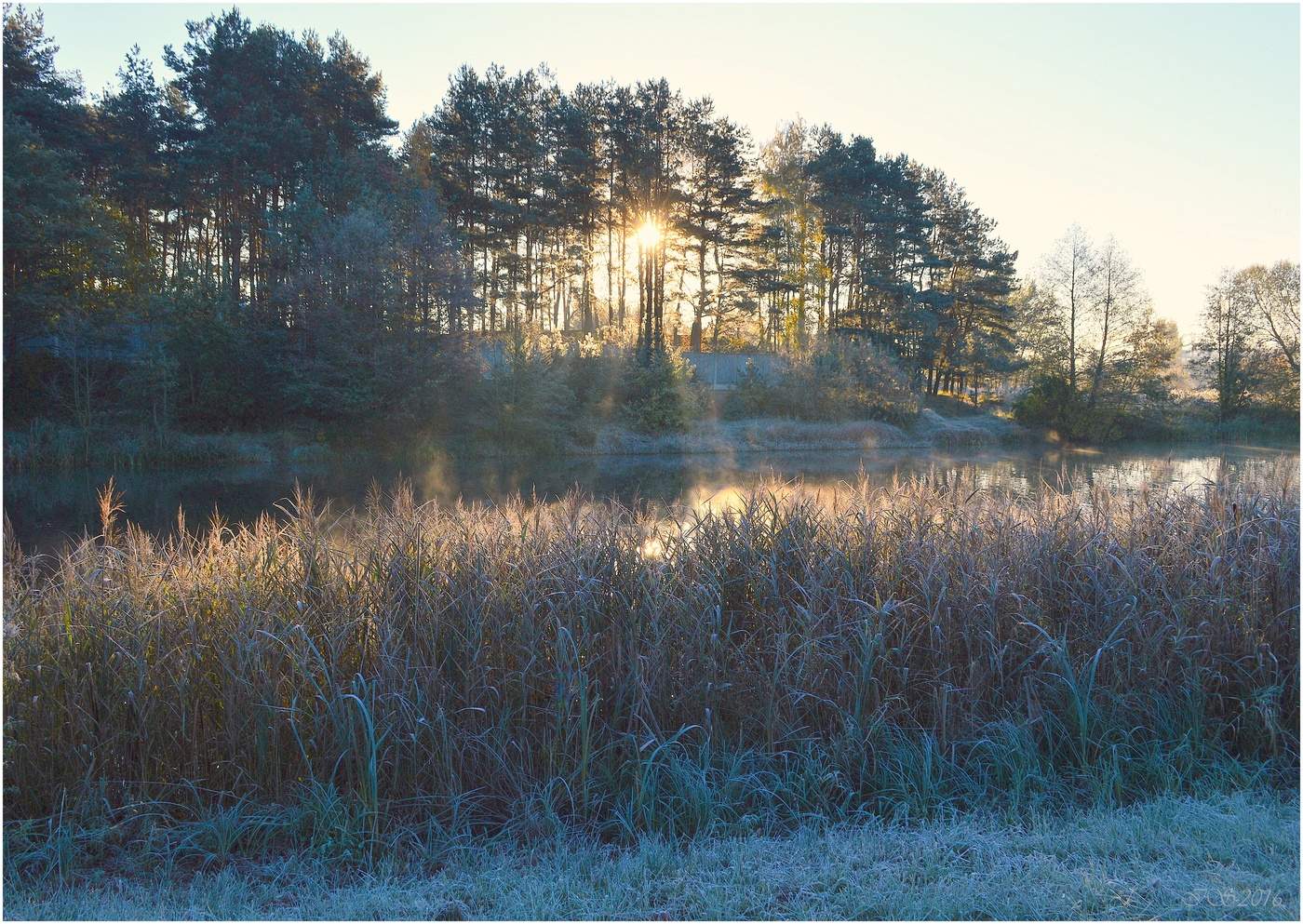 Ein frostiger Morgen