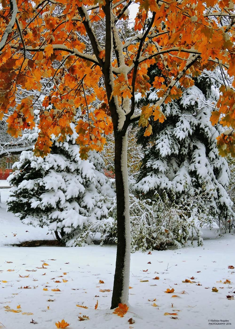 Ein Treffen der Herbst und Winter
