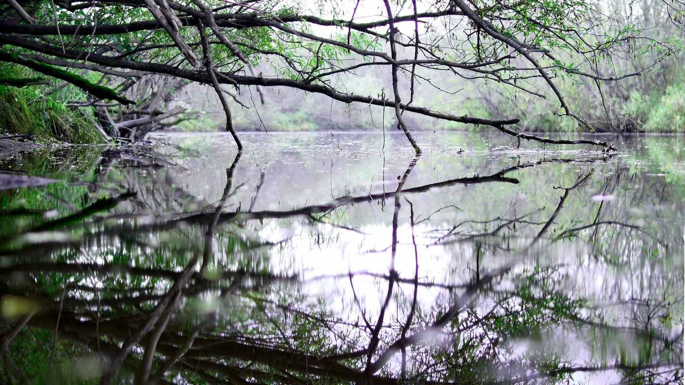 Der Beginn des Herbstes