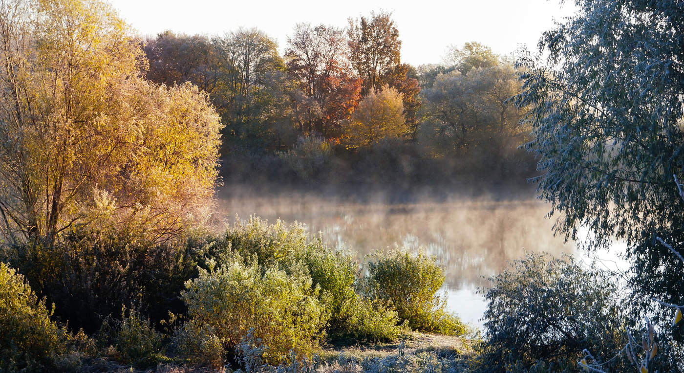 Ein frostiger Morgen