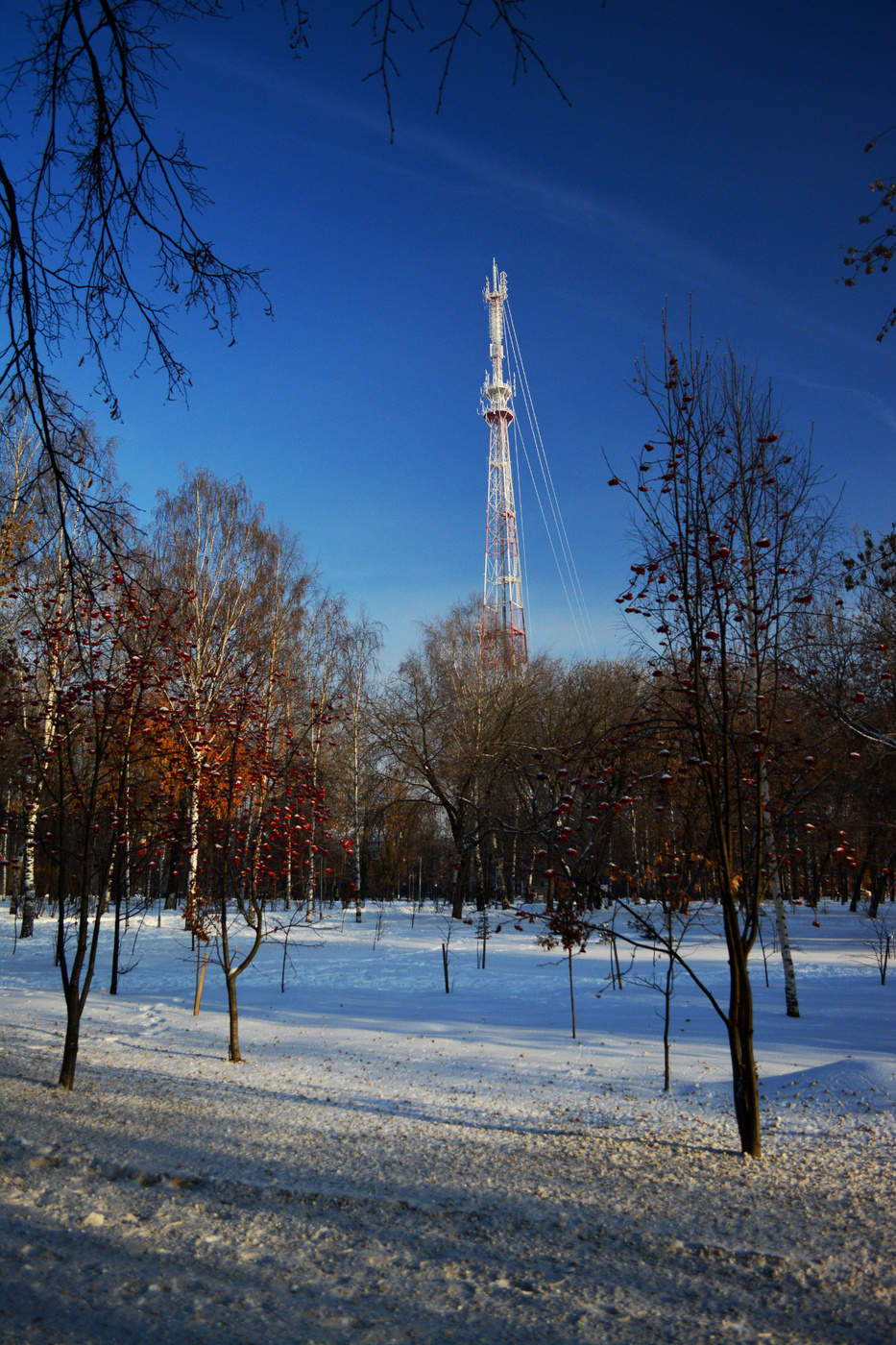 In Erwartung des Winters