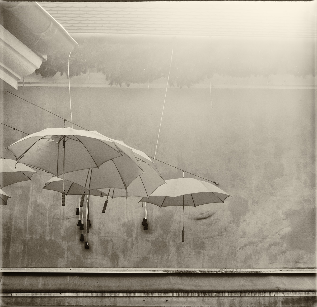 When You Want The Sky