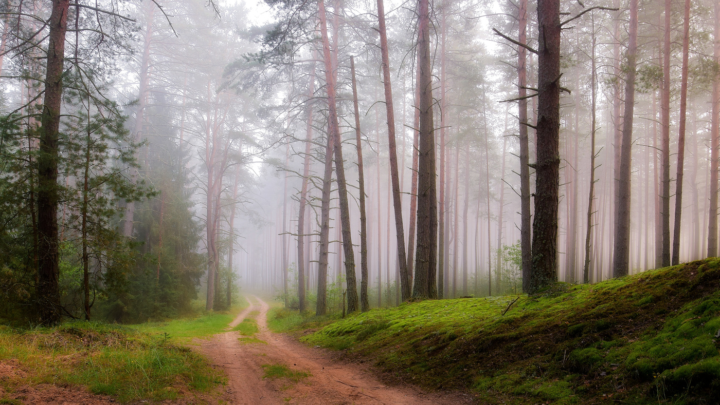 Am Morgen im September