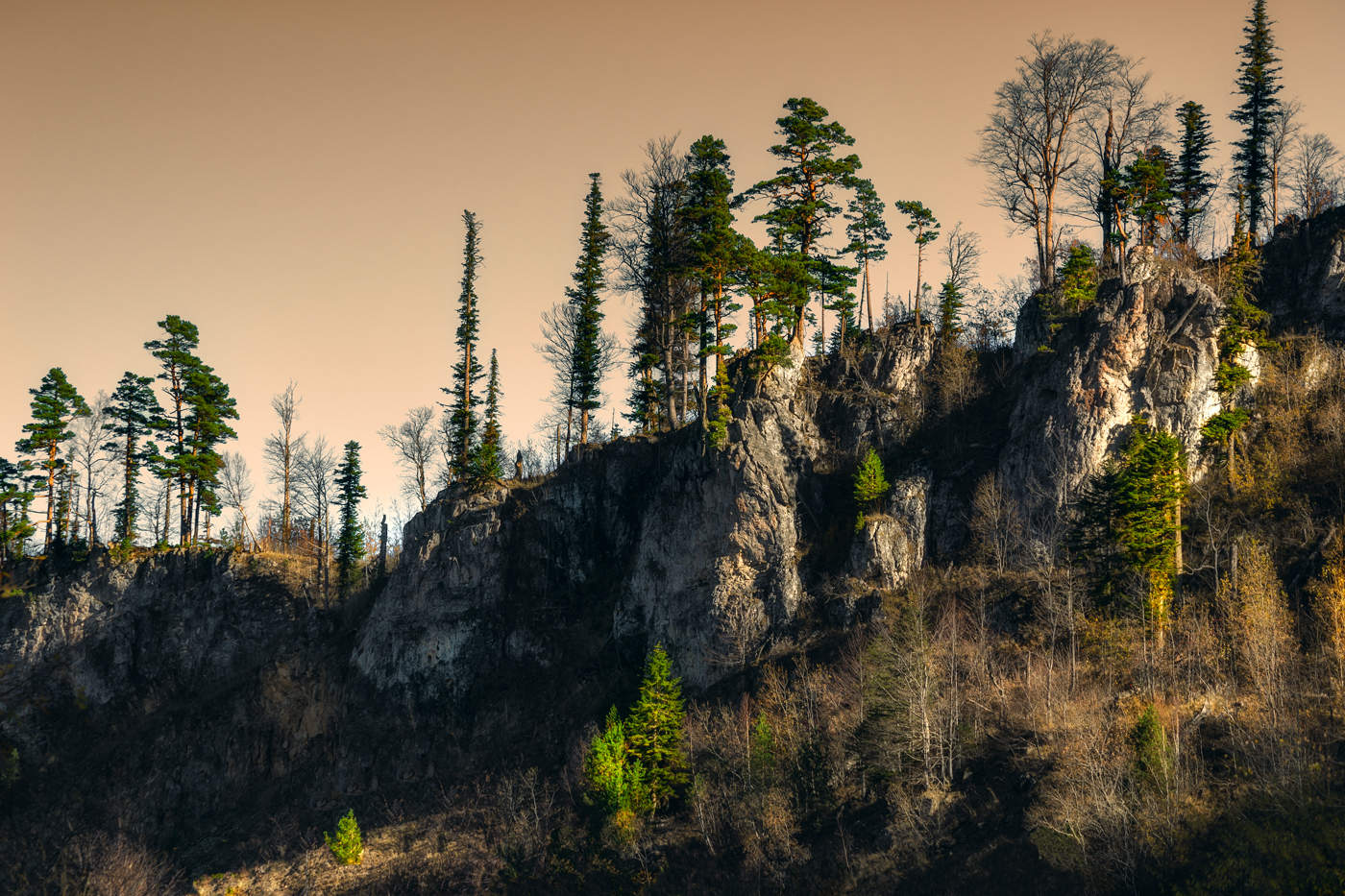 Der Morgen des neuen Tages