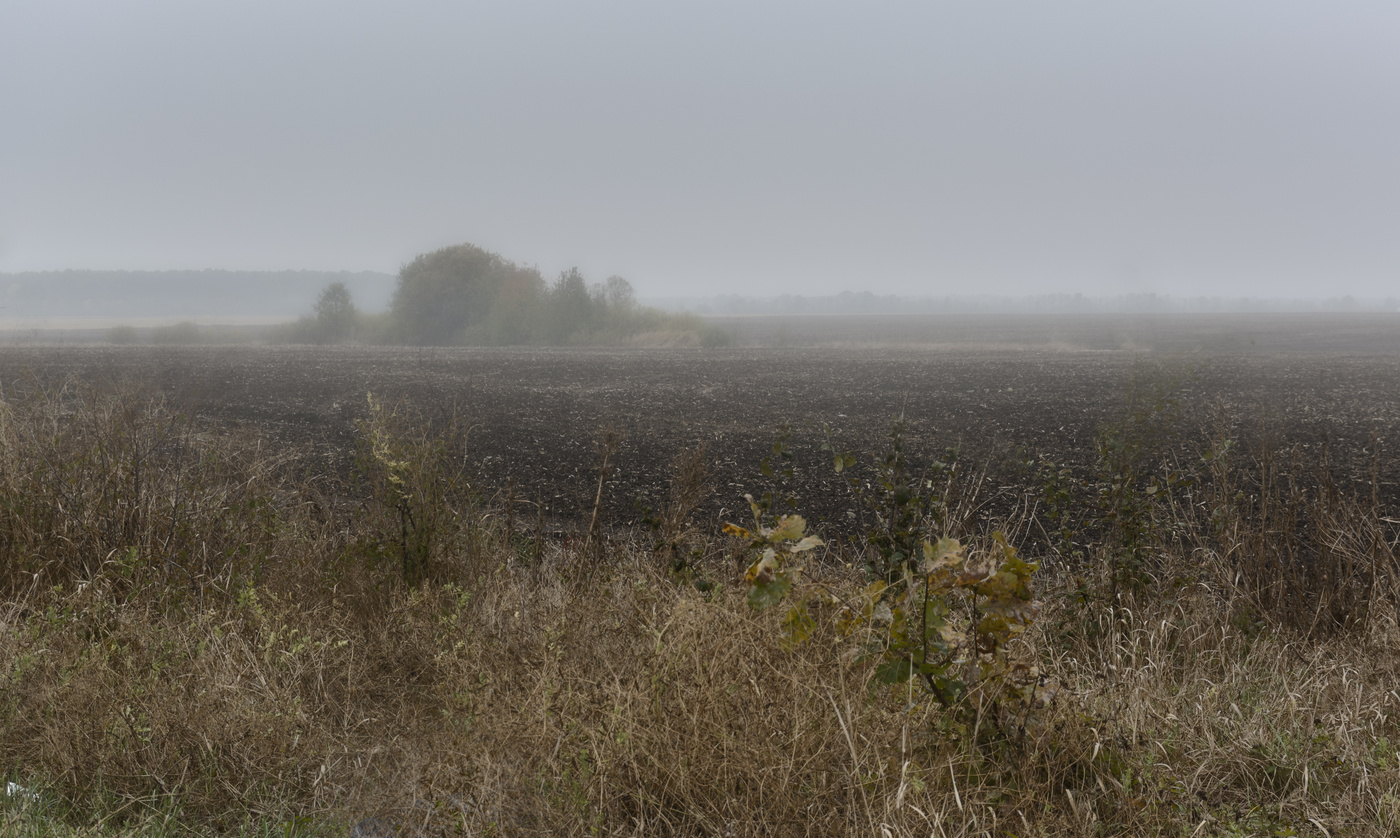 Herbst in vollem Gange