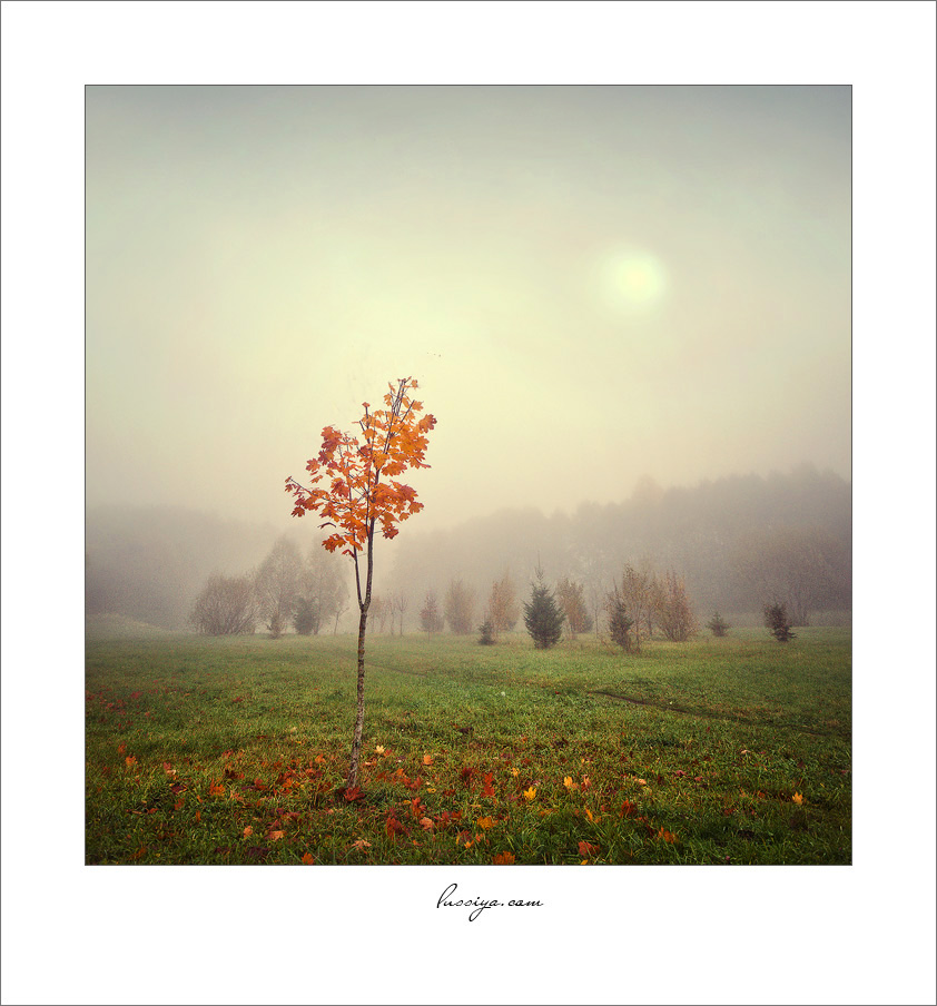 Herbst-Traum