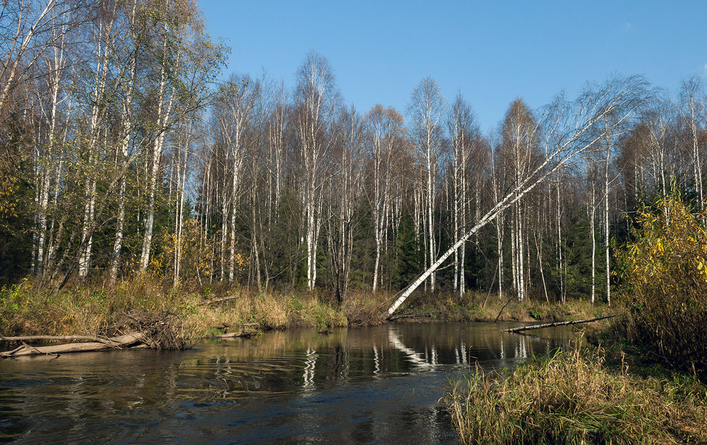 Oktober ist gekommen ...