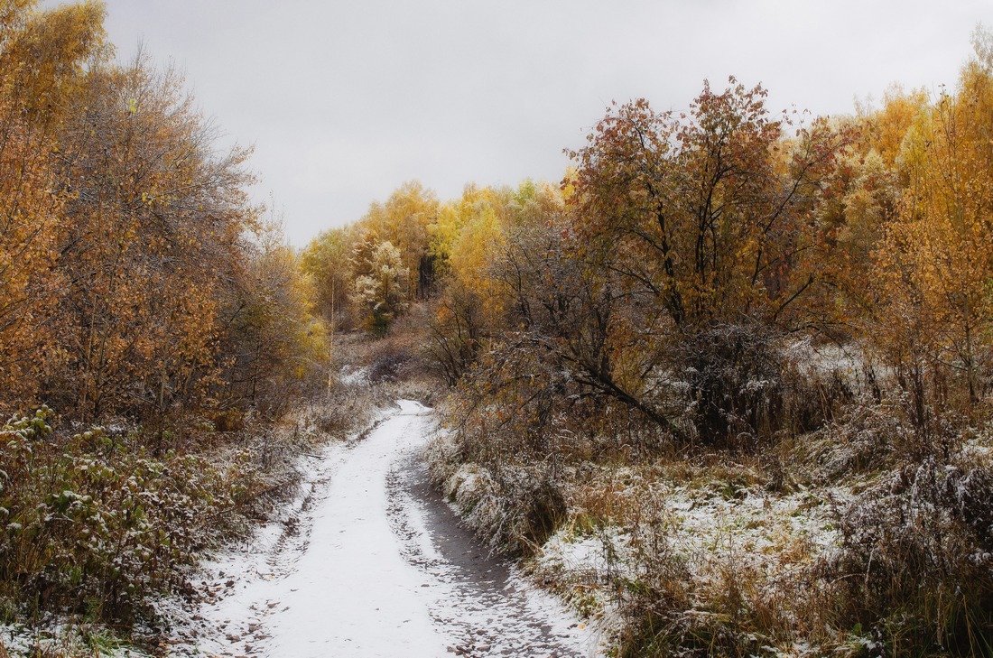 Der erste Schnee ...