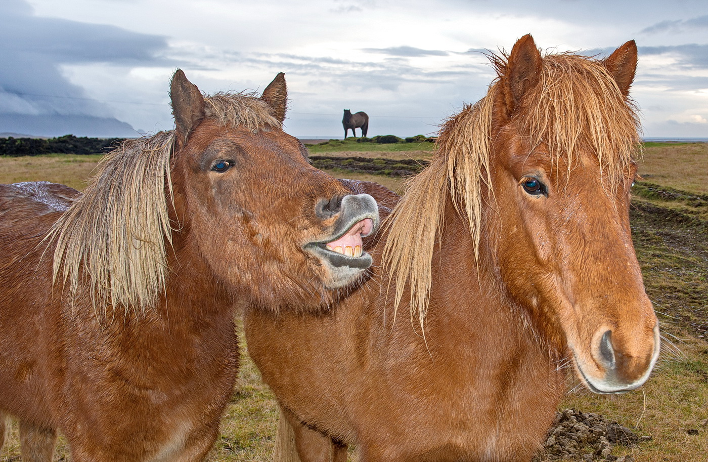 Sagen Sie Ihre Lächeln ...