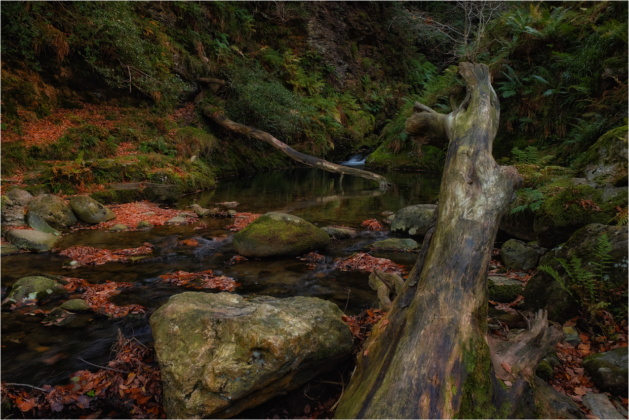 ...Glendalough creeks...