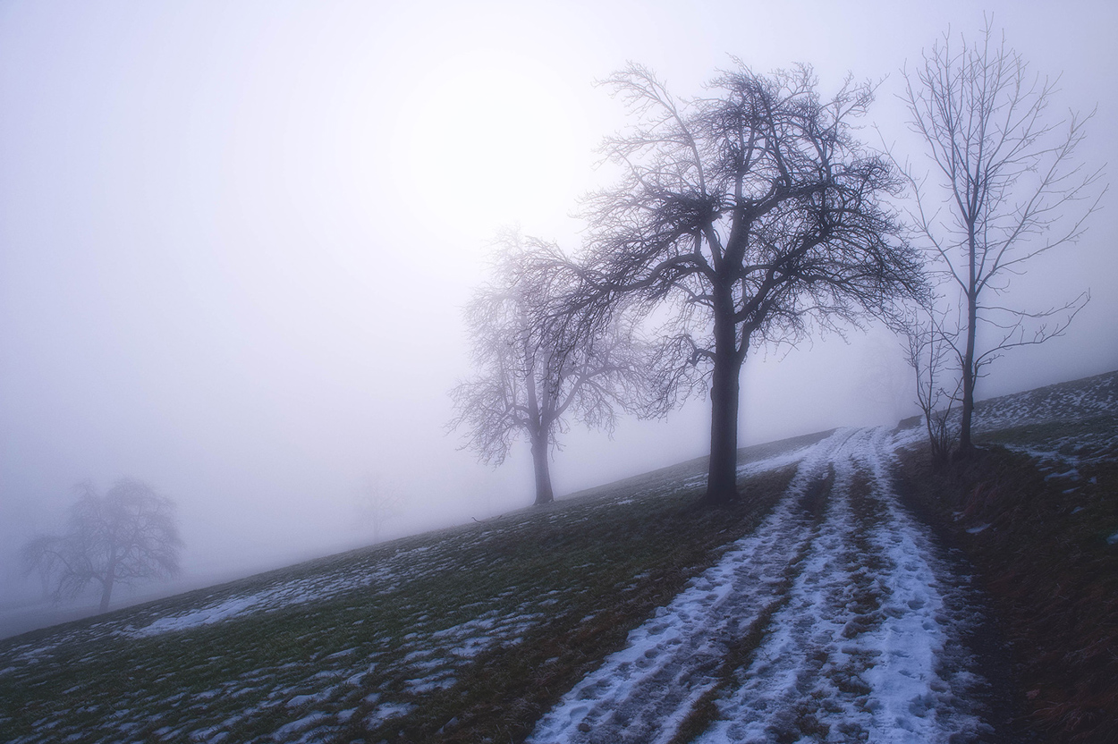 Unter der Nebelgrenze