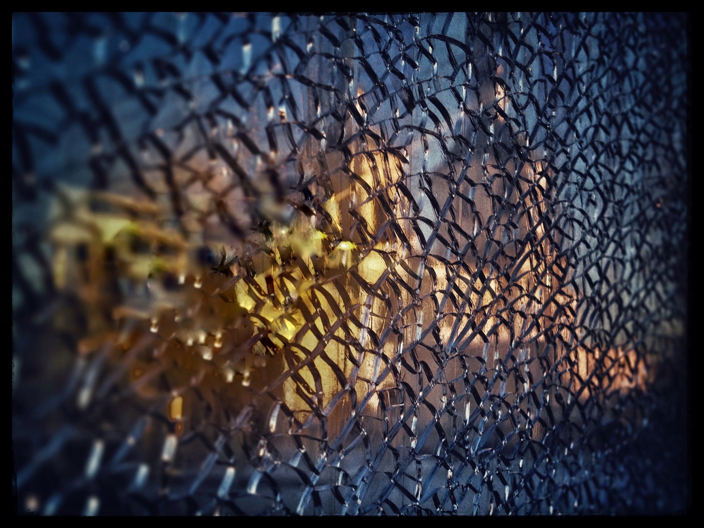 Im Licht der aufgehenden Sonne