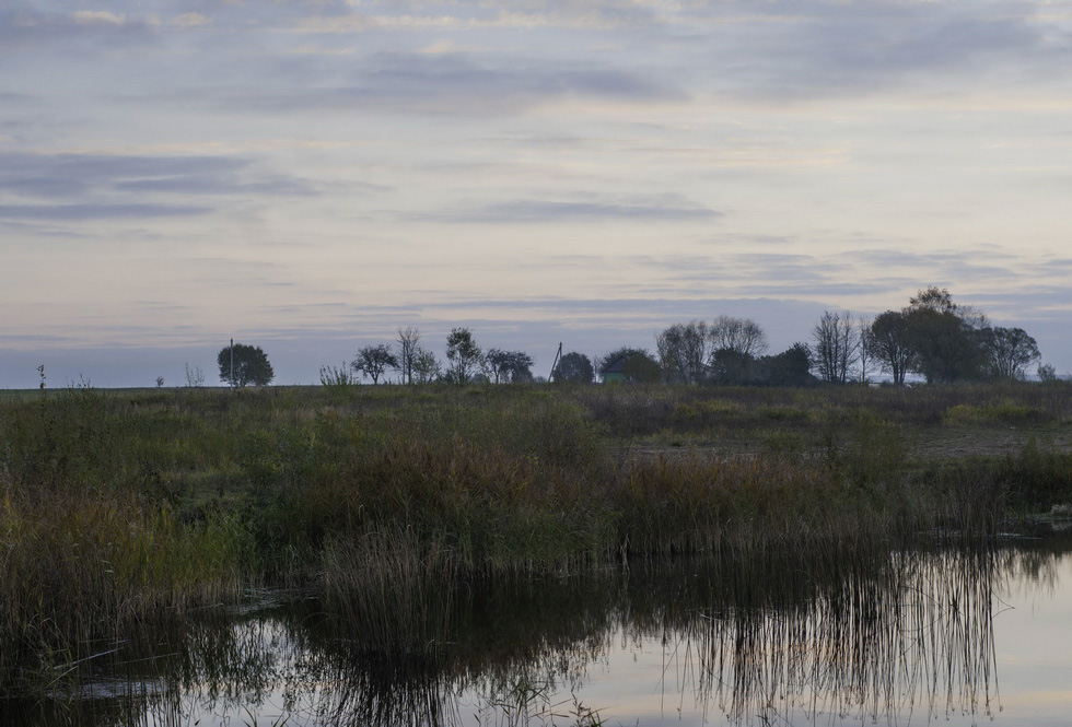 In Erinnerung an die Herbst