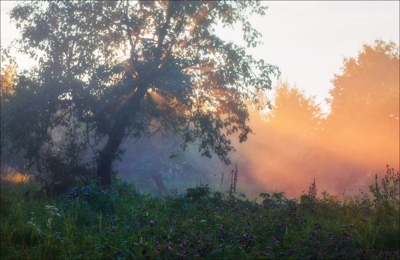 Von einem Sommerabend