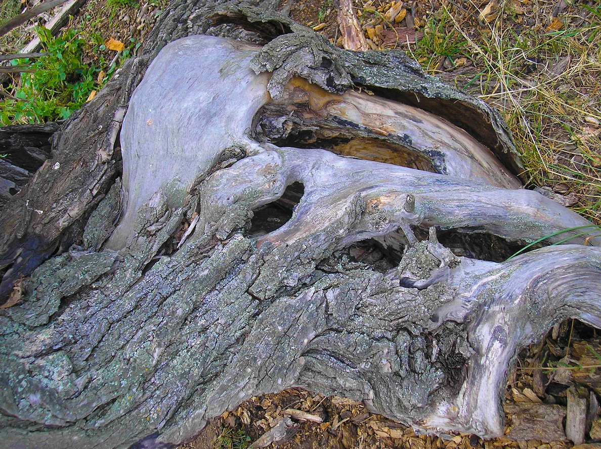 Gesundheitsministerium warnt