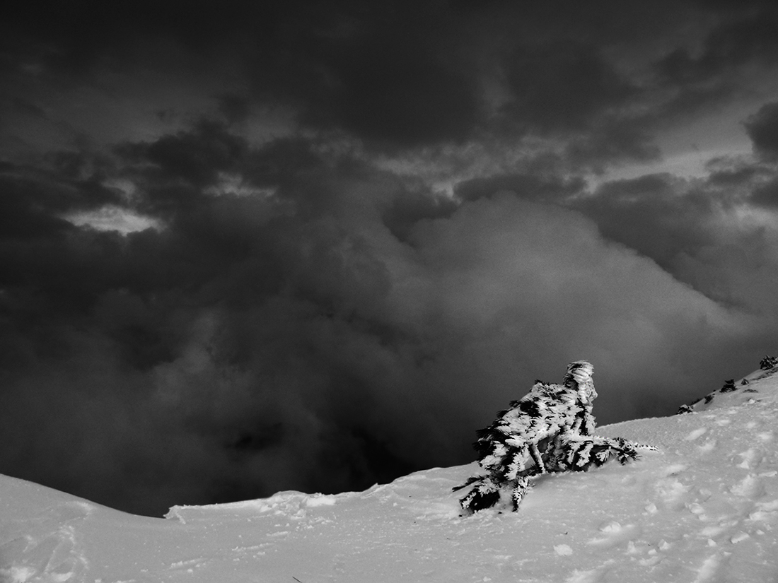 Gesundheitsministerium warnt