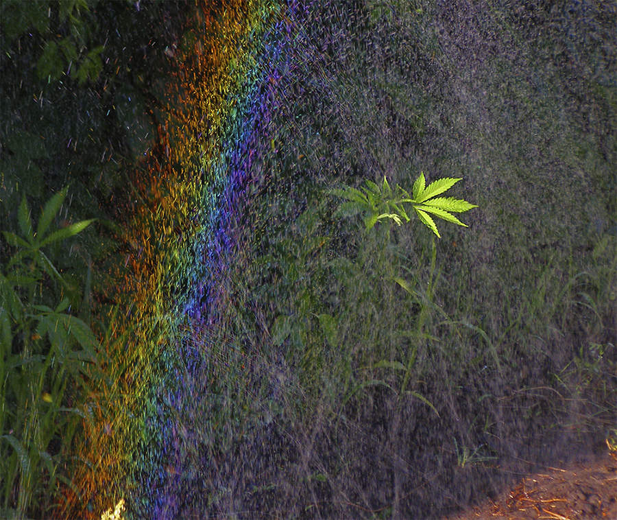 Gesundheitsministerium warnt