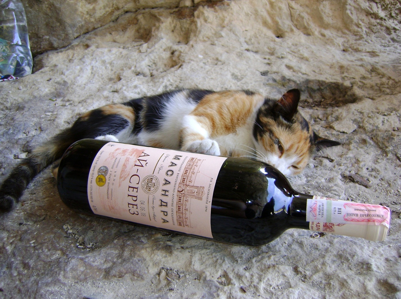 Gesundheitsministerium warnt