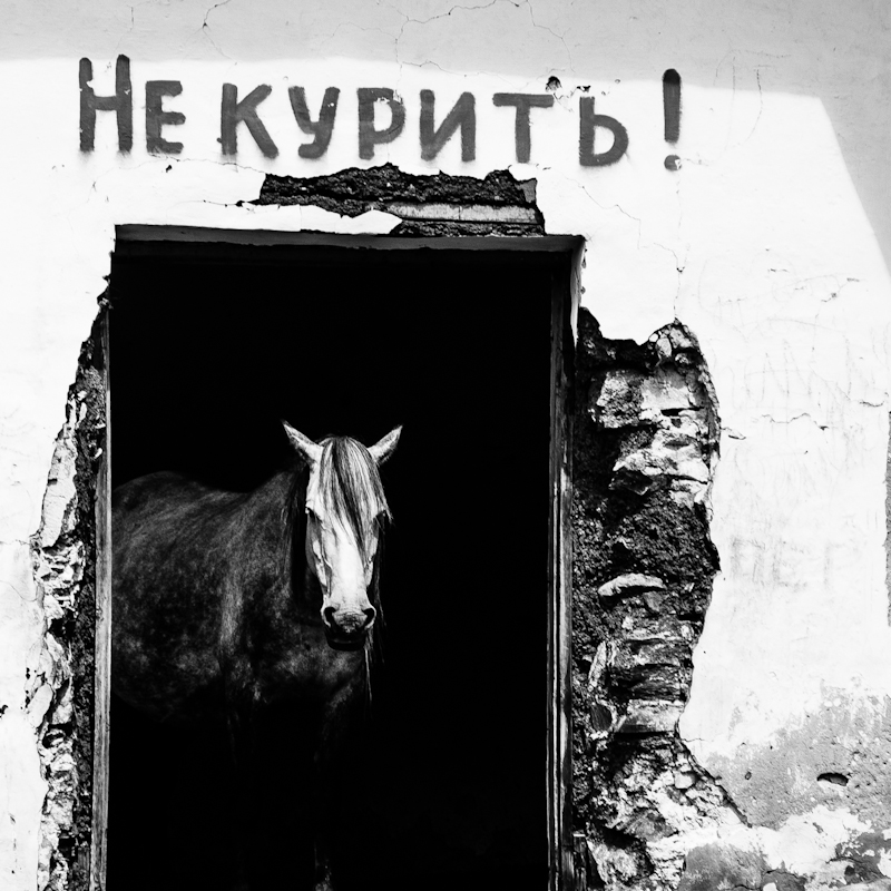 Gesundheitsministerium warnt