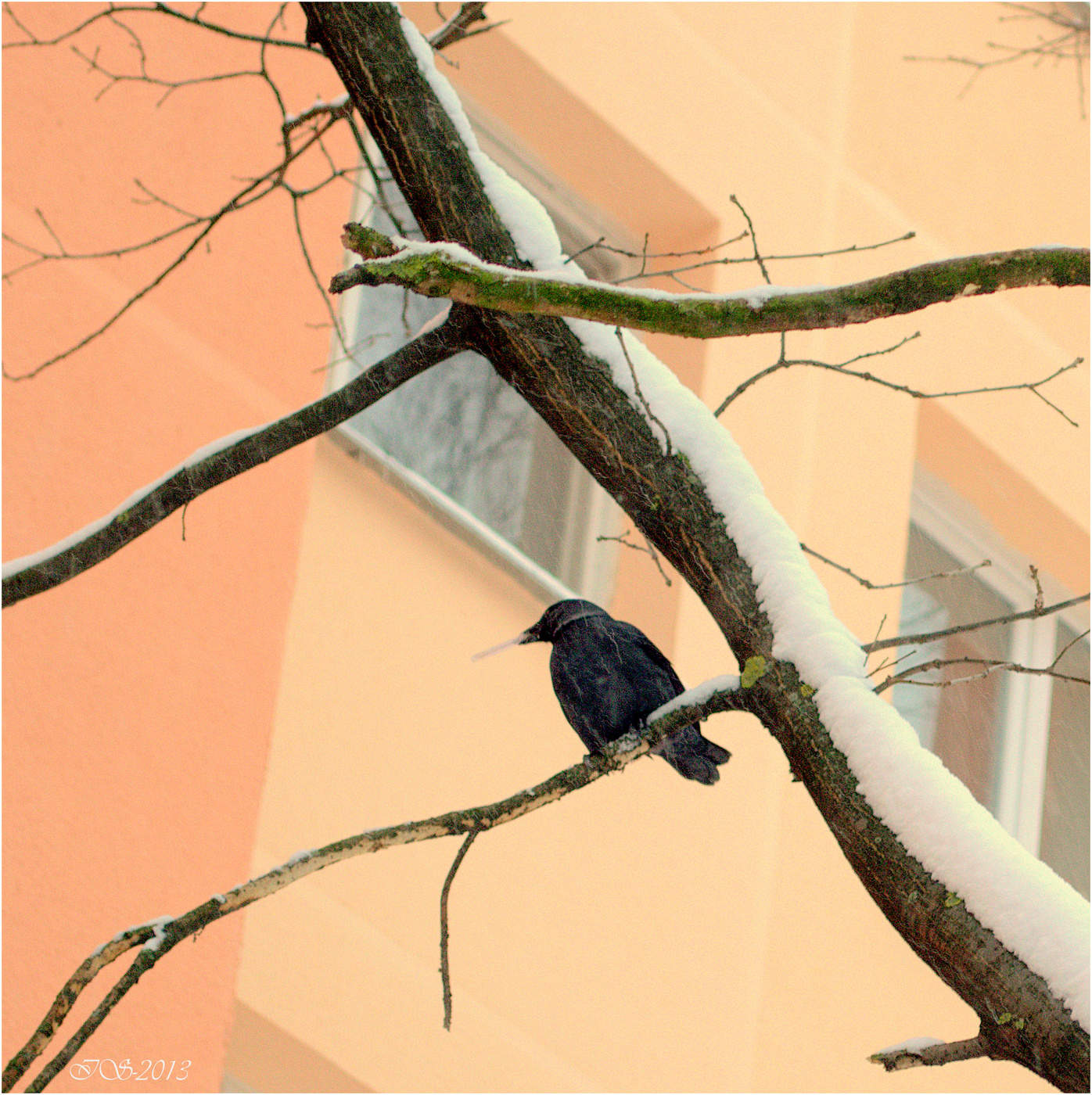 Gesundheitsministerium warnt