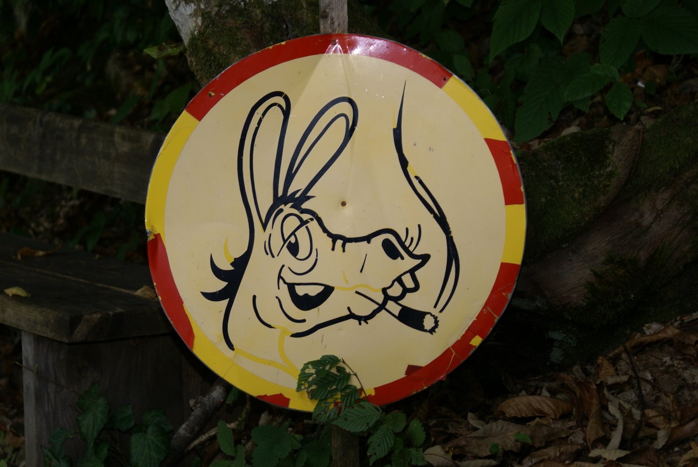 Gesundheitsministerium warnt