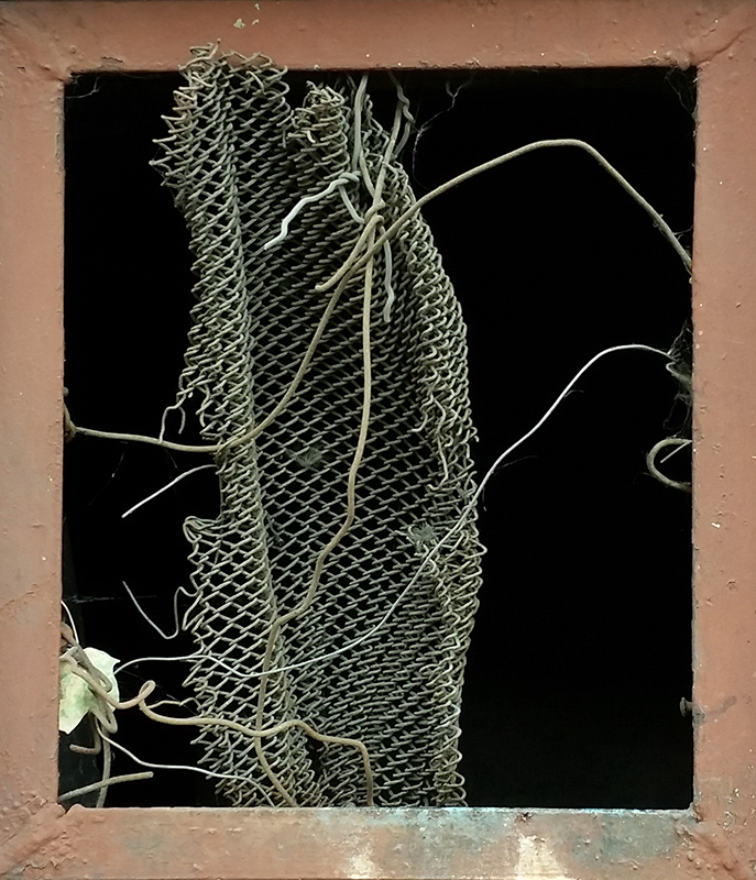 Gesundheitsministerium warnt