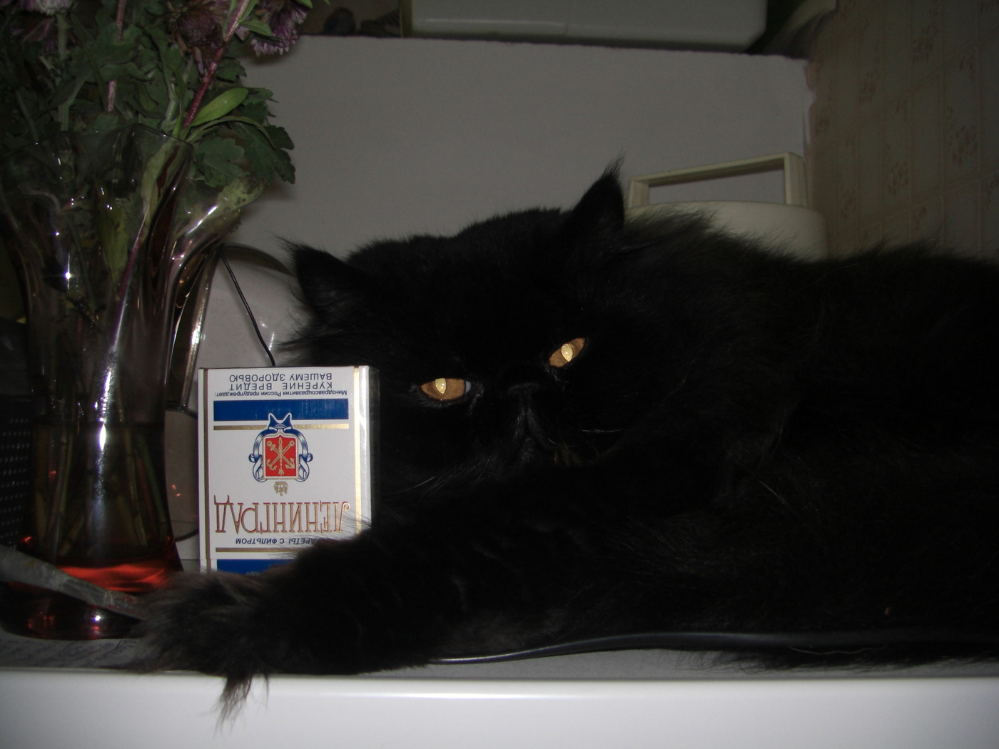 Gesundheitsministerium warnt