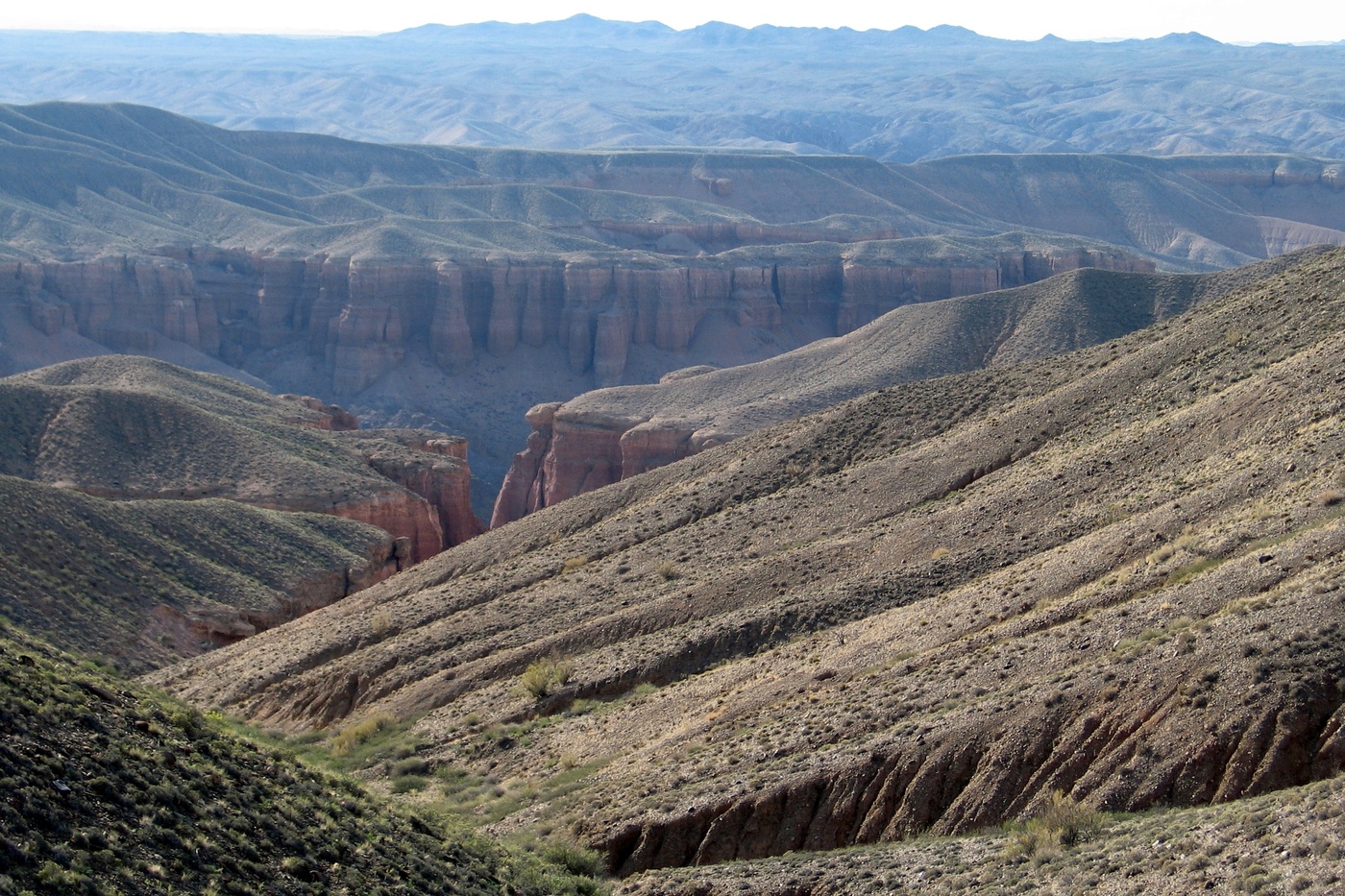 Gibt es Leben auf dem Mars