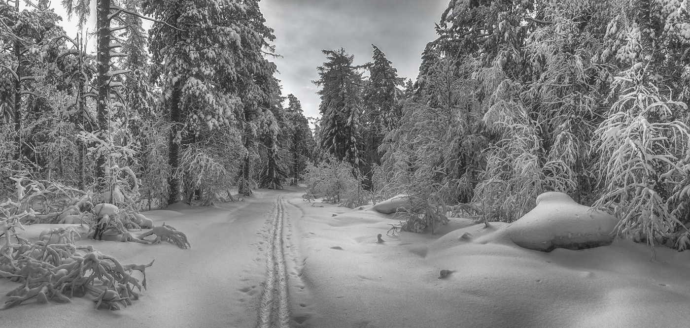 Läuft weg in die Ferne