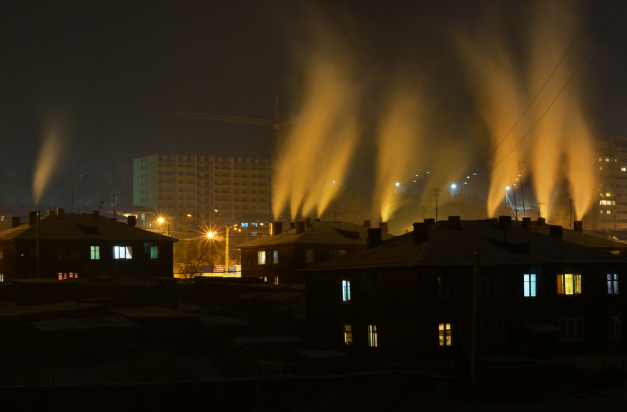 Nacht in den Kiefernwald