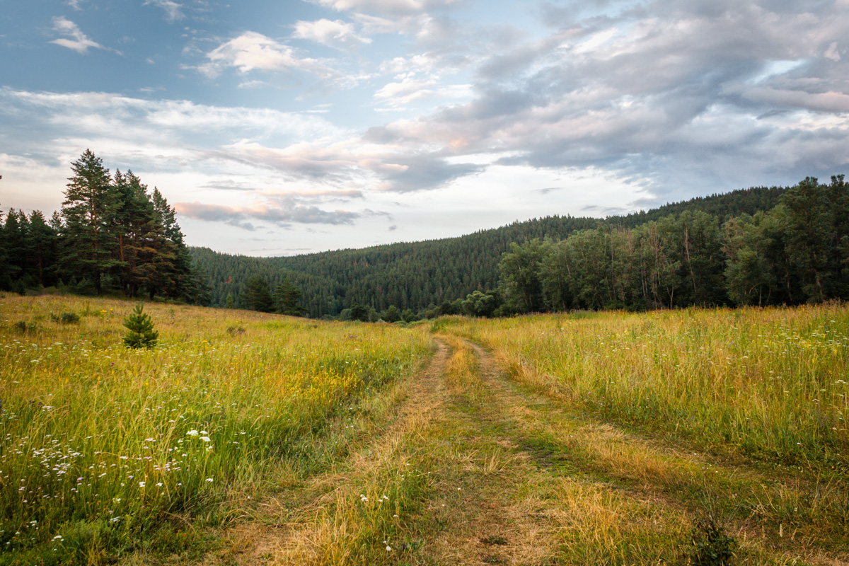 Die Straße im Sommer