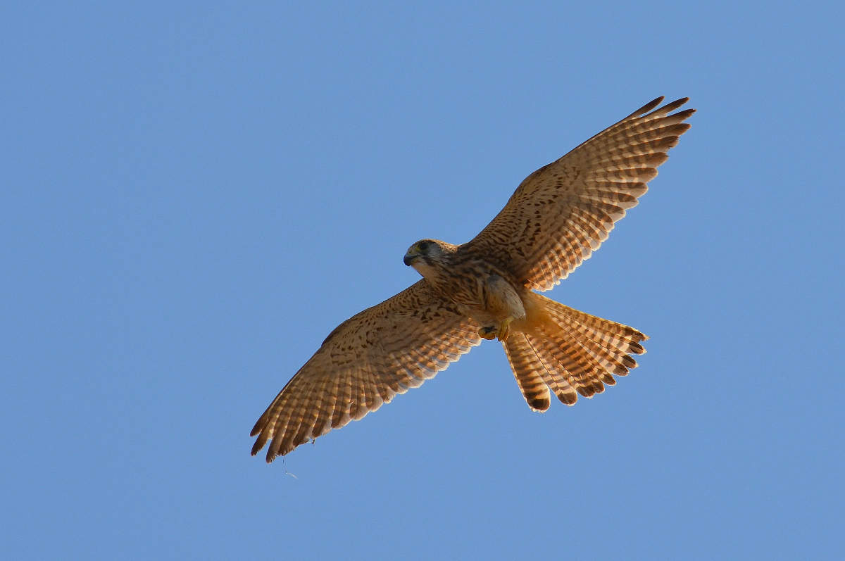 Mit der Produktion von