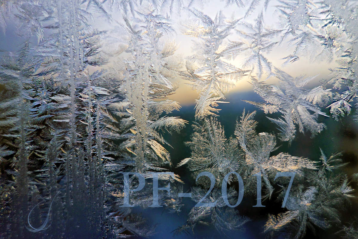 PF-2017