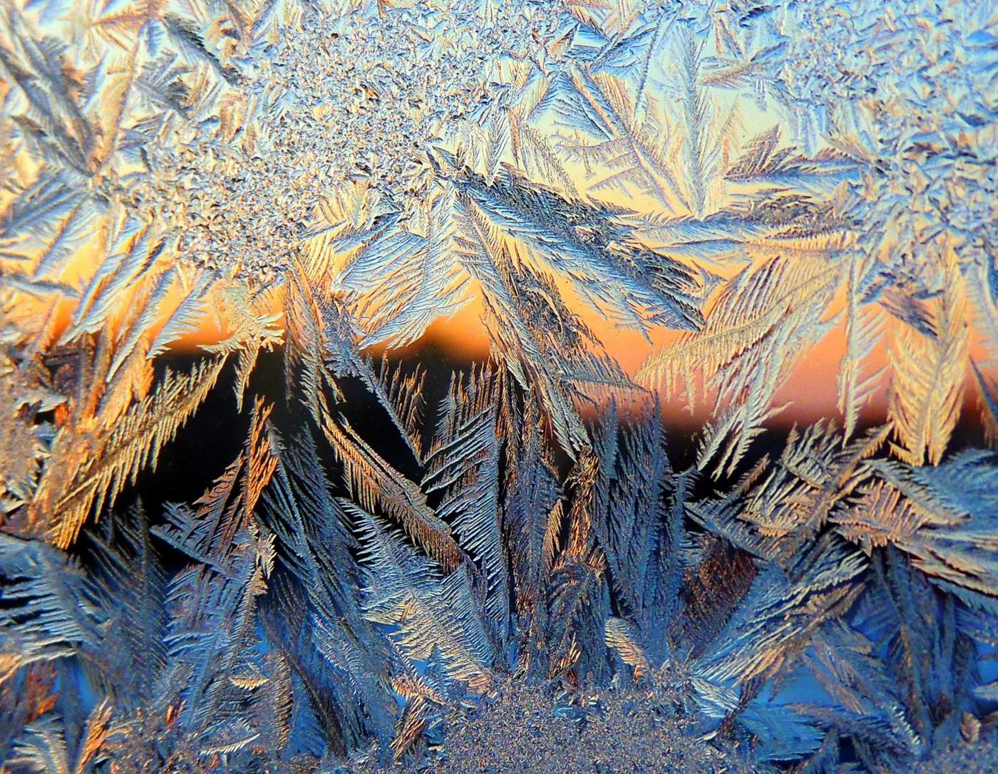 Ein frostiger Morgen