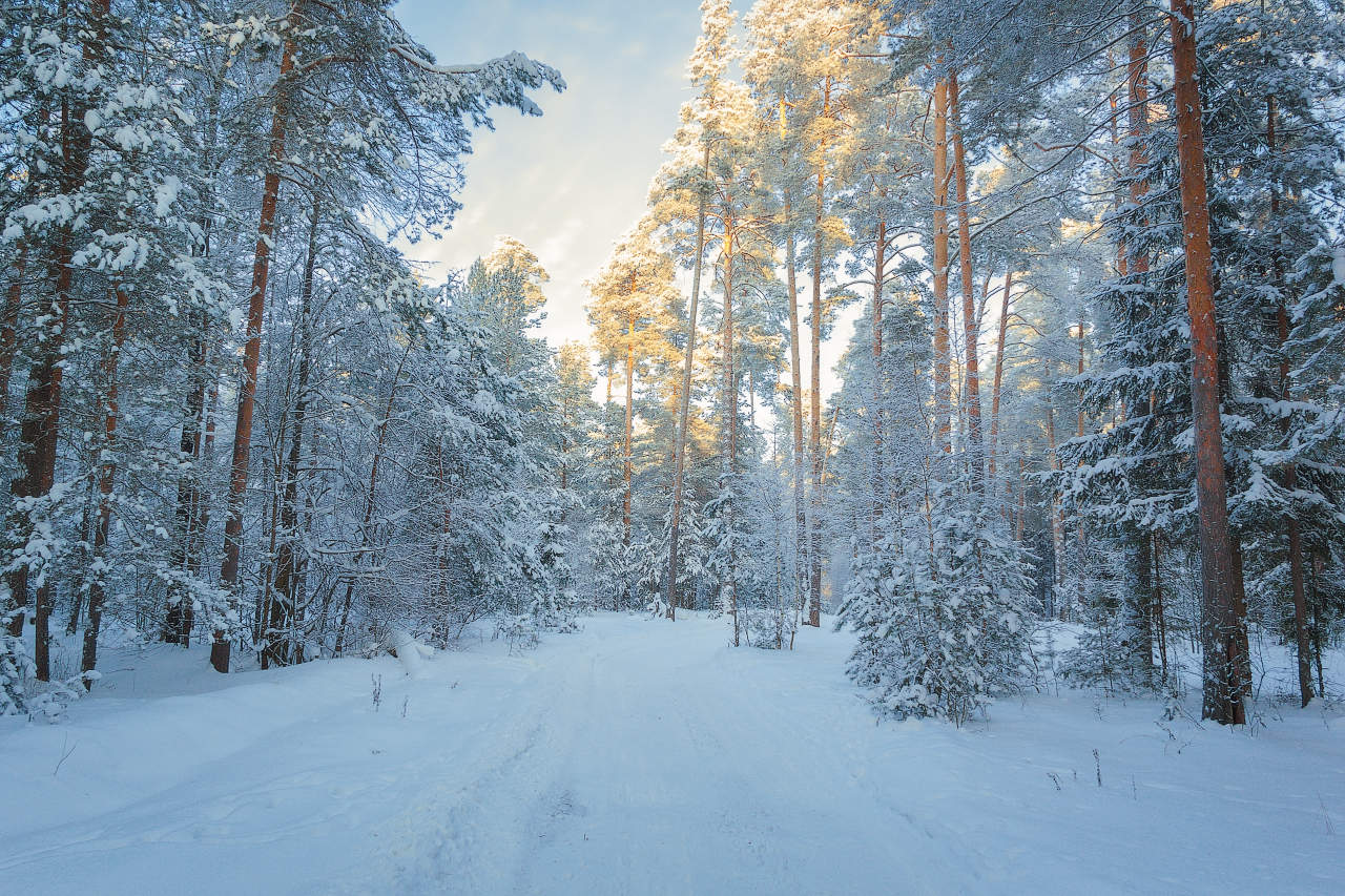 Glückliches Neues Jahr !!!