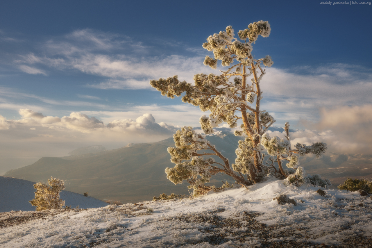 Morning on Demerdzhi