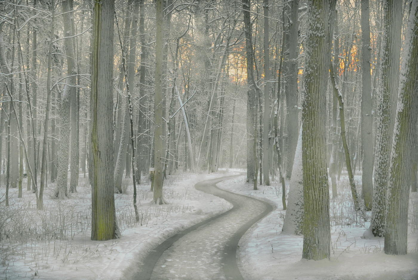 Auf einem gewundenen Pfad