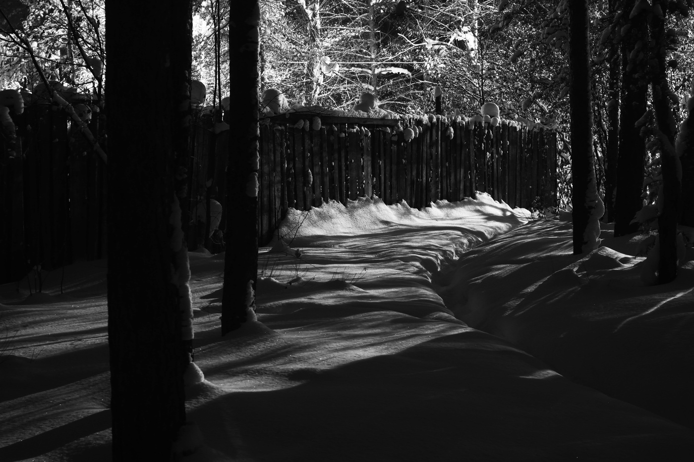 Entlang des Zauns ...