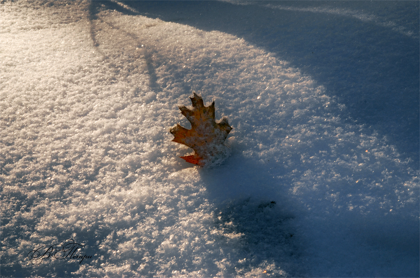 Erinnerungen des Herbstes