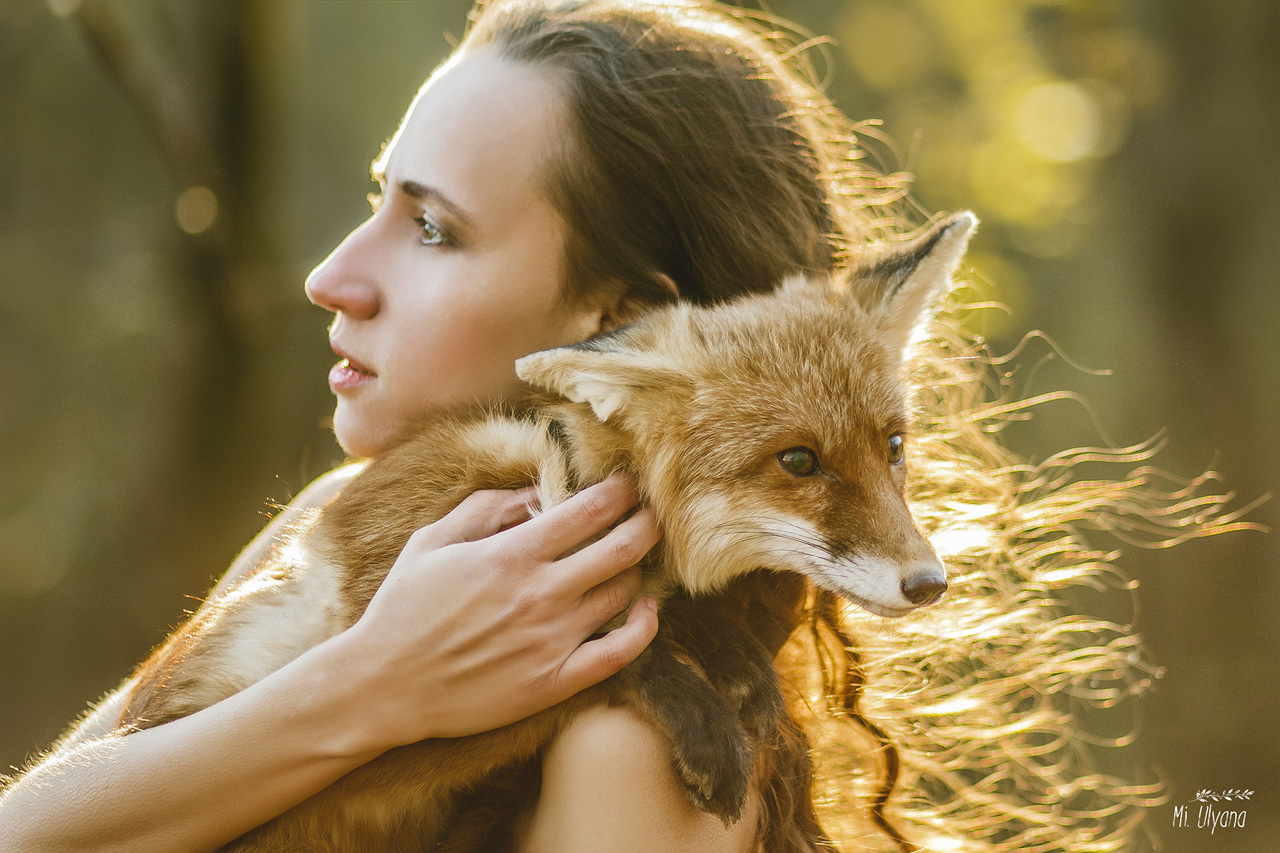 in den herbstlichen Wald