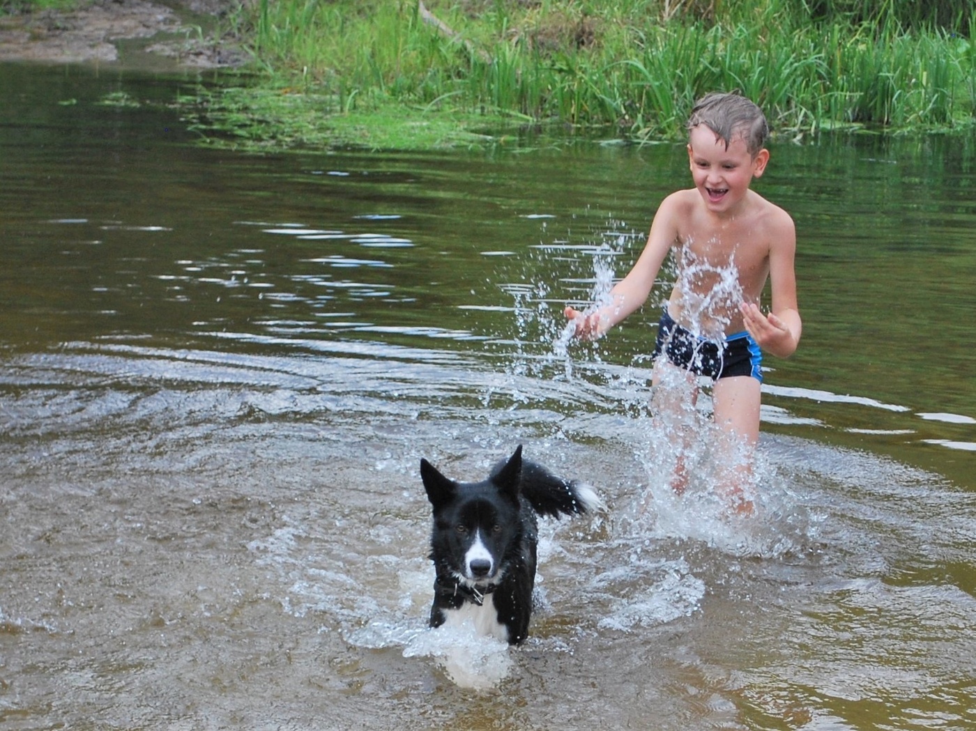 Die Freude an der Gemeinschaft