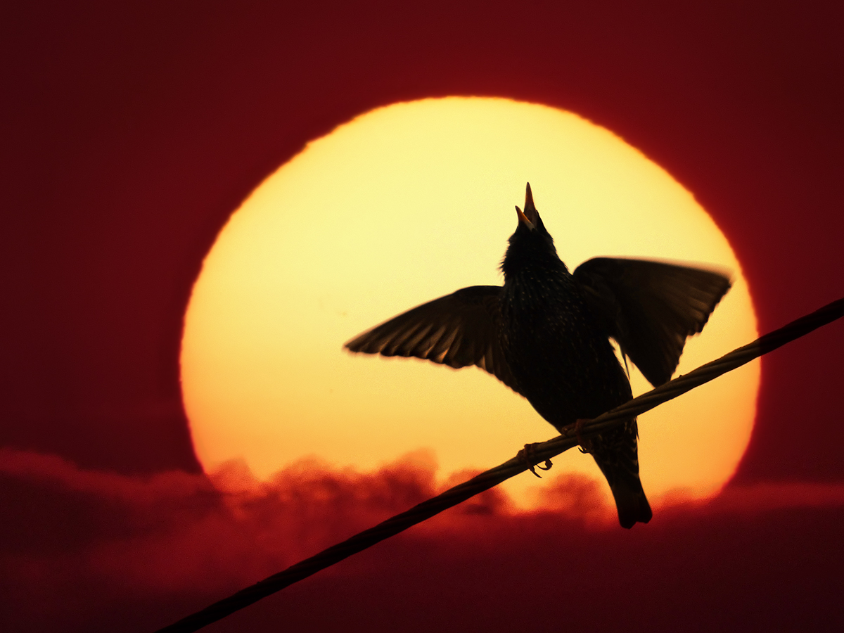 es war, aber ist schon vorbei