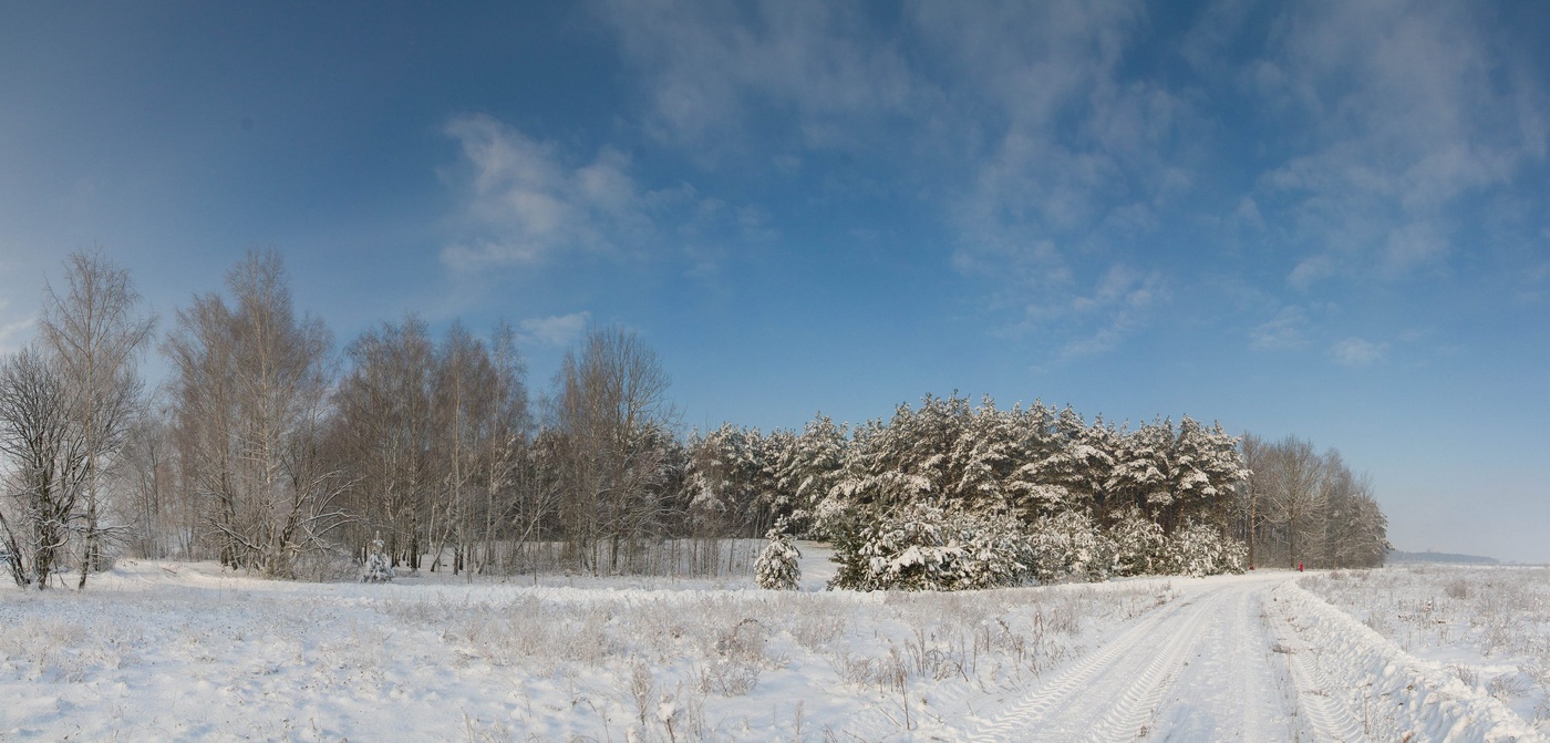 Winter in Belarus