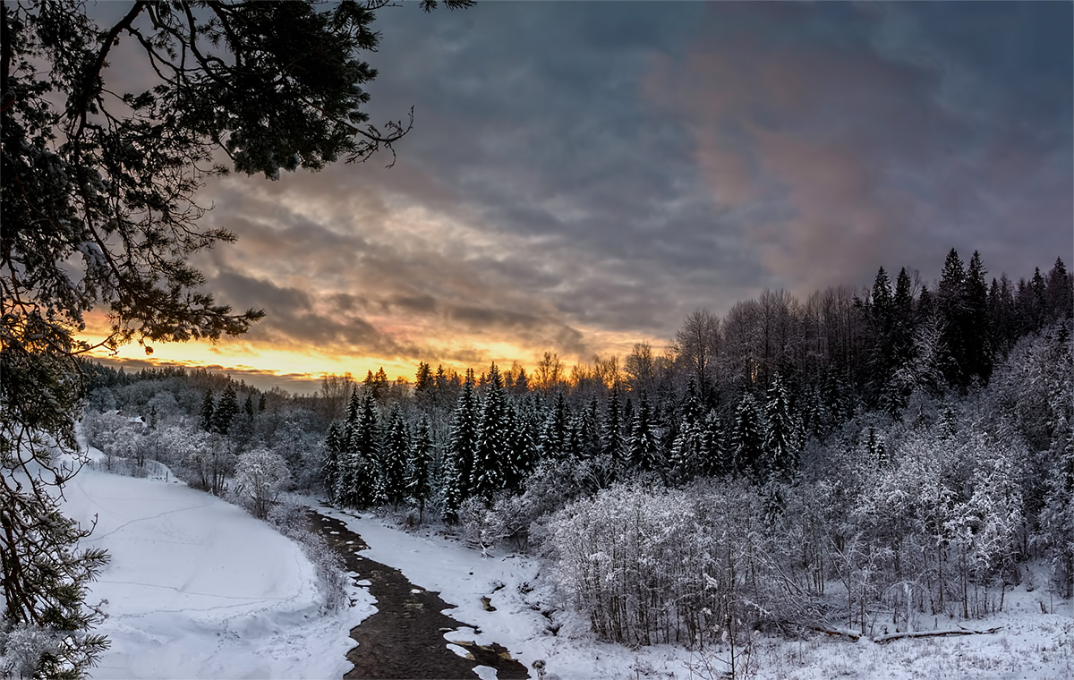 Die Nacht vor Weihnachten