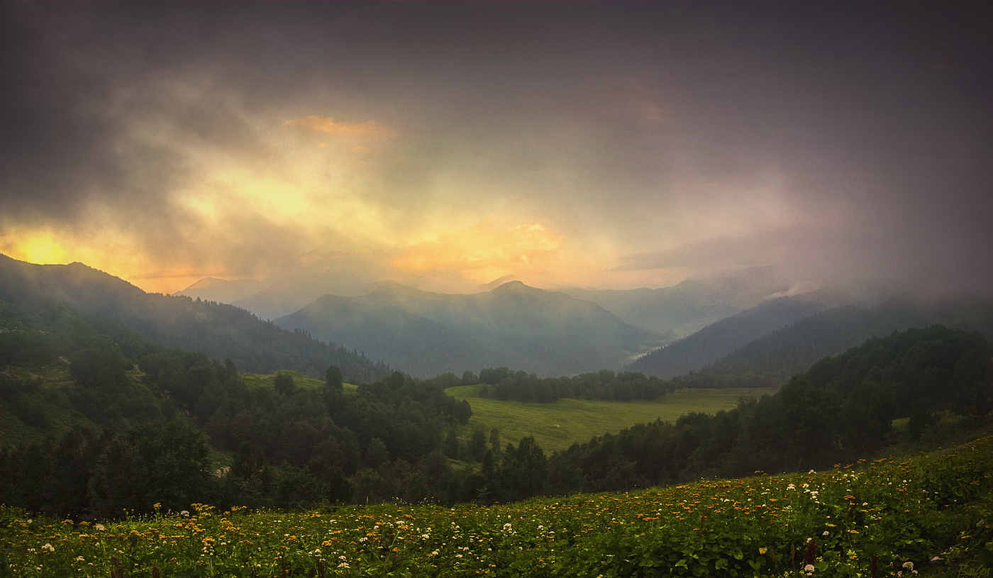 Morgen nach dem regen
