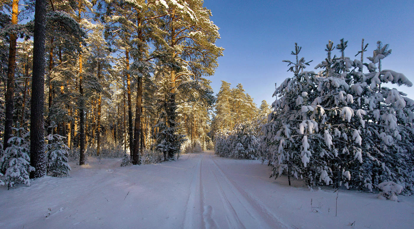 Die Januar-Landschaft
