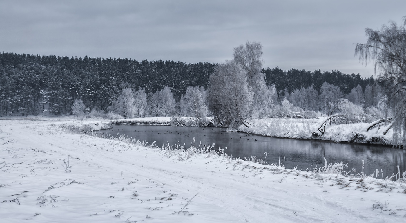 Winter river
