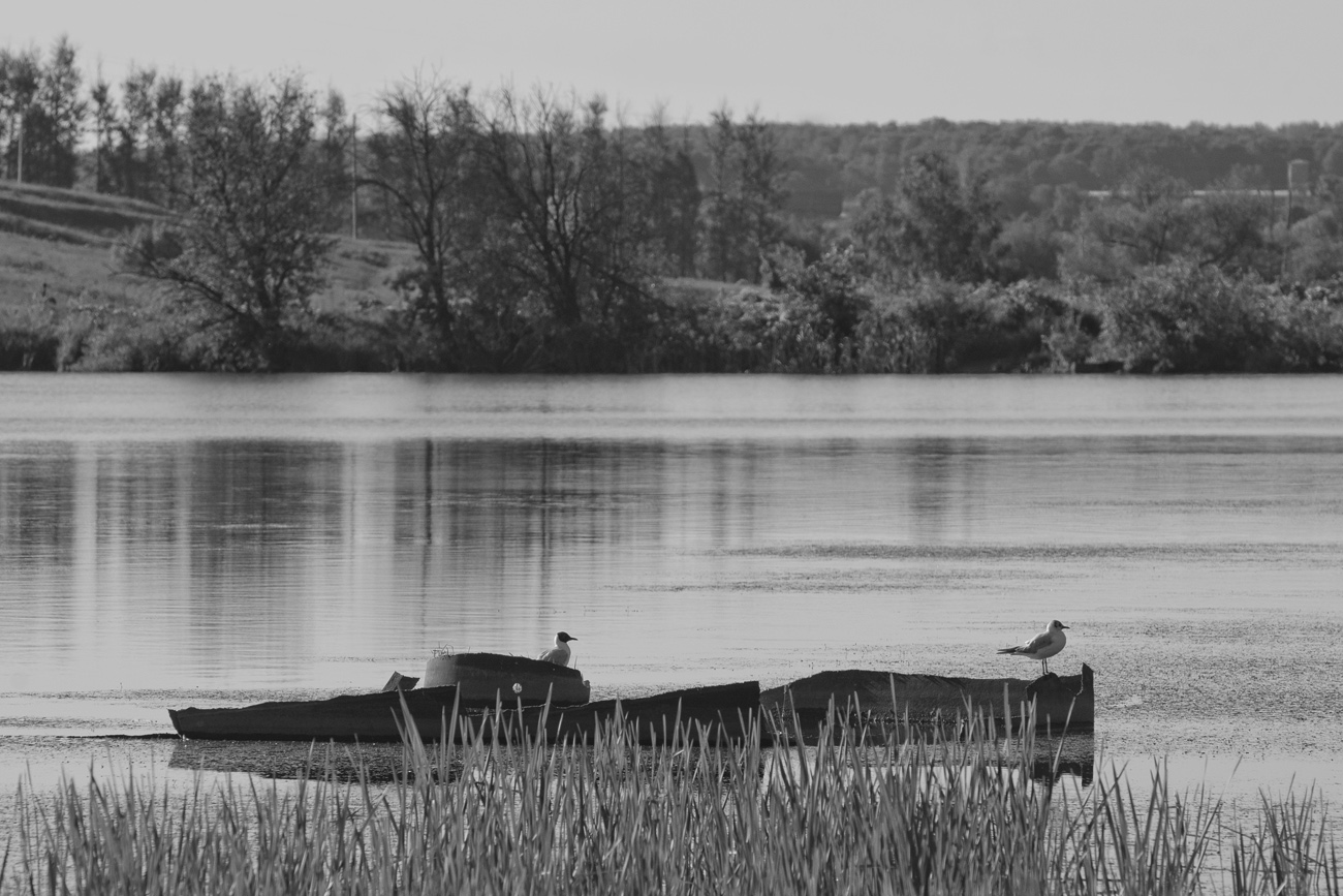 Hafen kam in unsere Schiffe